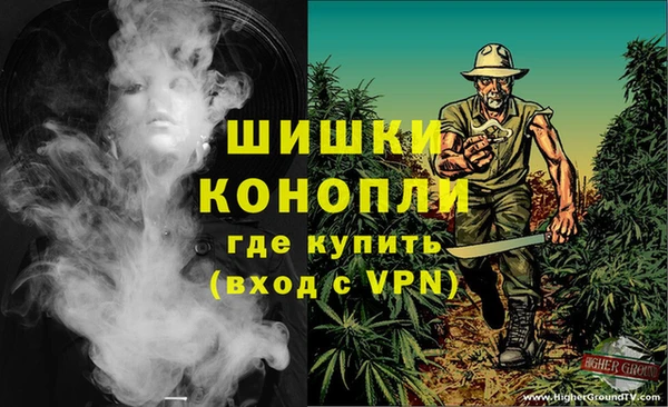 spice Аркадак