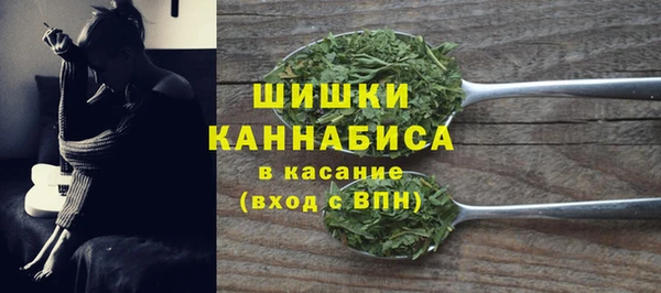 spice Аркадак