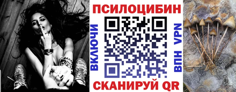 Купить  Ивантеевка  Галлюциногенные грибы MAGIC MUSHROOMS 