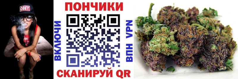 МАРИХУАНА конопля  Купить где  Ивантеевка 